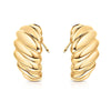 Trendy Hypoallergenic Chunky Earrings